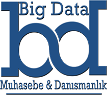 Big Data Muhasebe